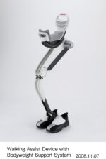 Buy Honda Walk Assist