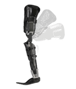 Tectus Knee Straighten